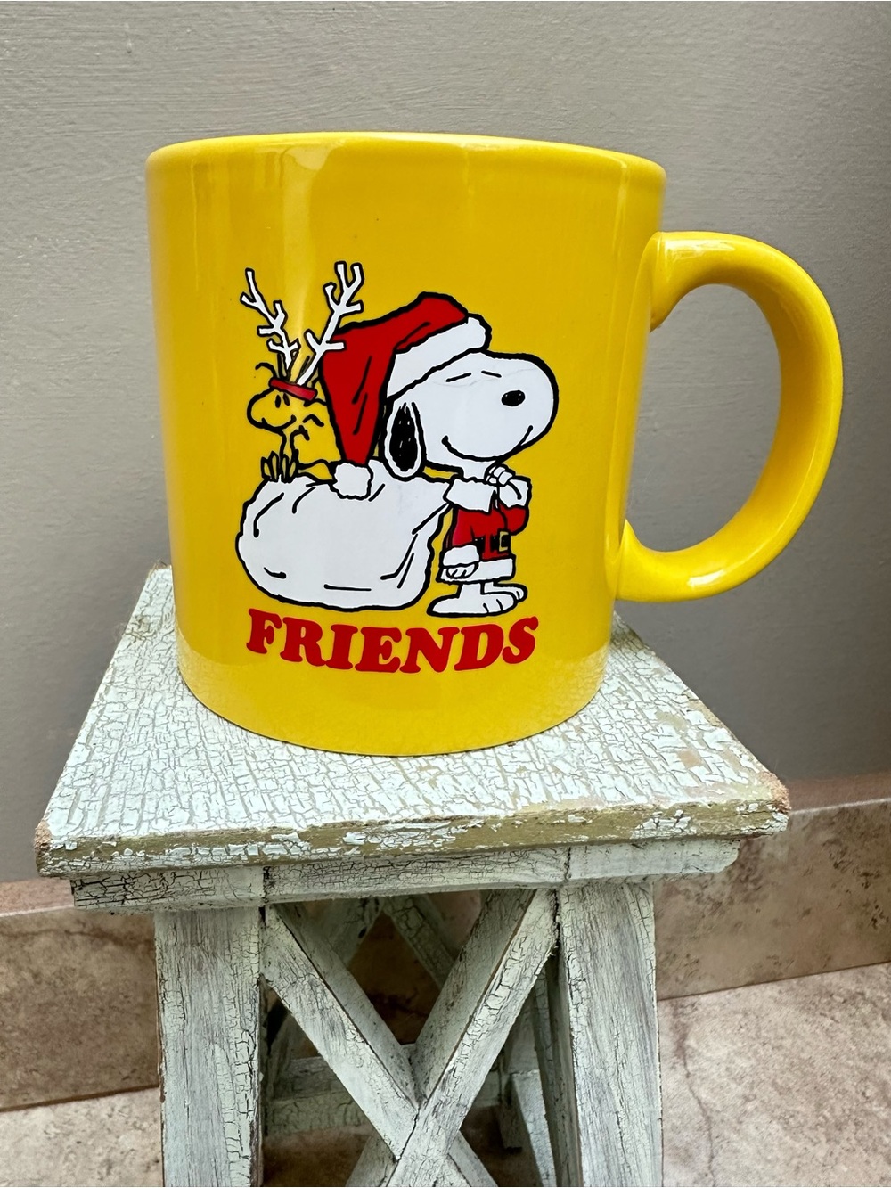 Snoopy & Woodstock Friends Mug